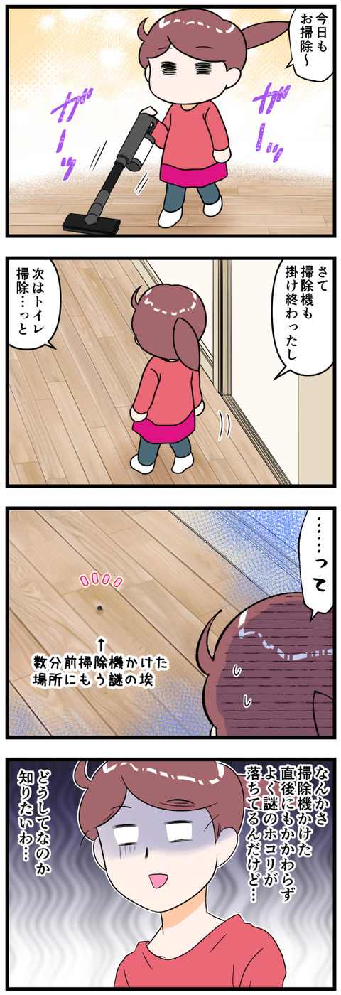 掃除機かけた数分後にもう埃が落ちてる謎完成