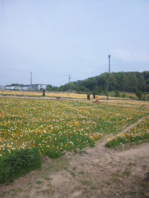 香山ラベンダー園 お犬様のお通りでーい