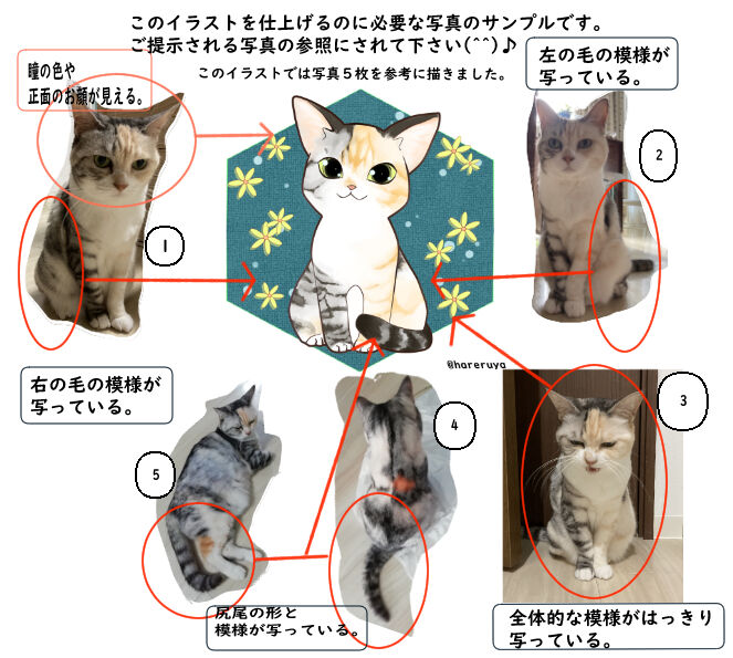 猫イラストオーダーページ 日常のこと