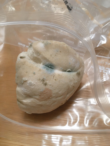 パン カビ 無関心