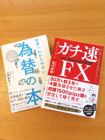 FX 本