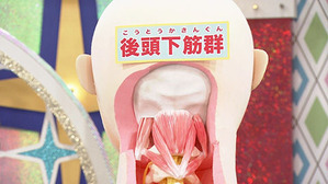 ためしてガッテン１