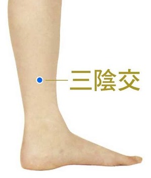 三陰交