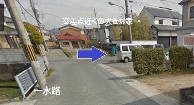 イメージ 7