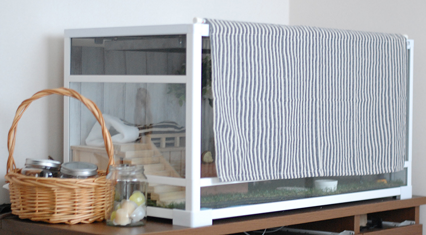 ケージレイアウト変更 : ハリネズミちくちく日記