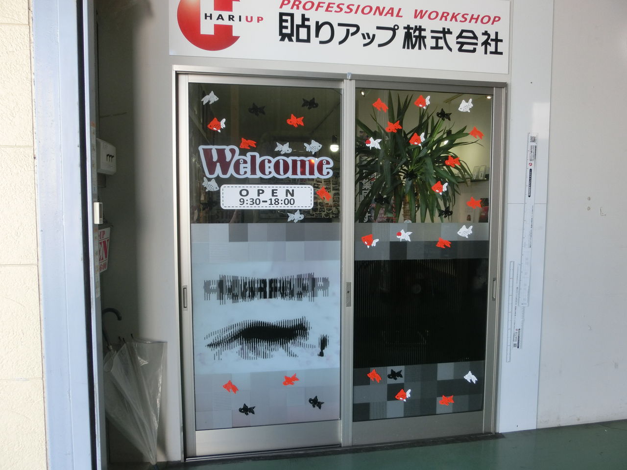 店舗ディスプレイ夏バージョン 貼りアップblog