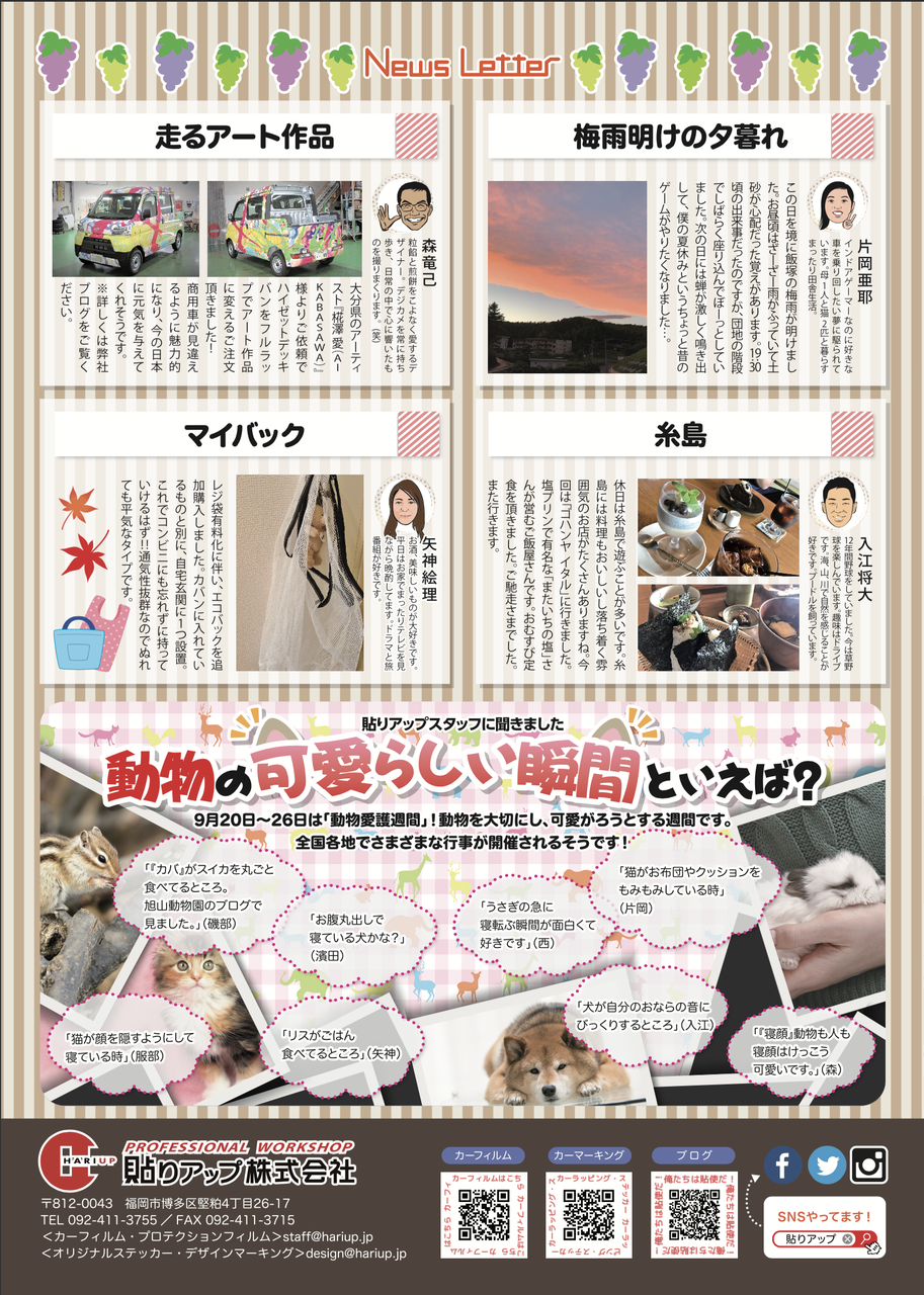9月のニュースレター 貼りアップblog 9月のニュースレター 貼りアップblog