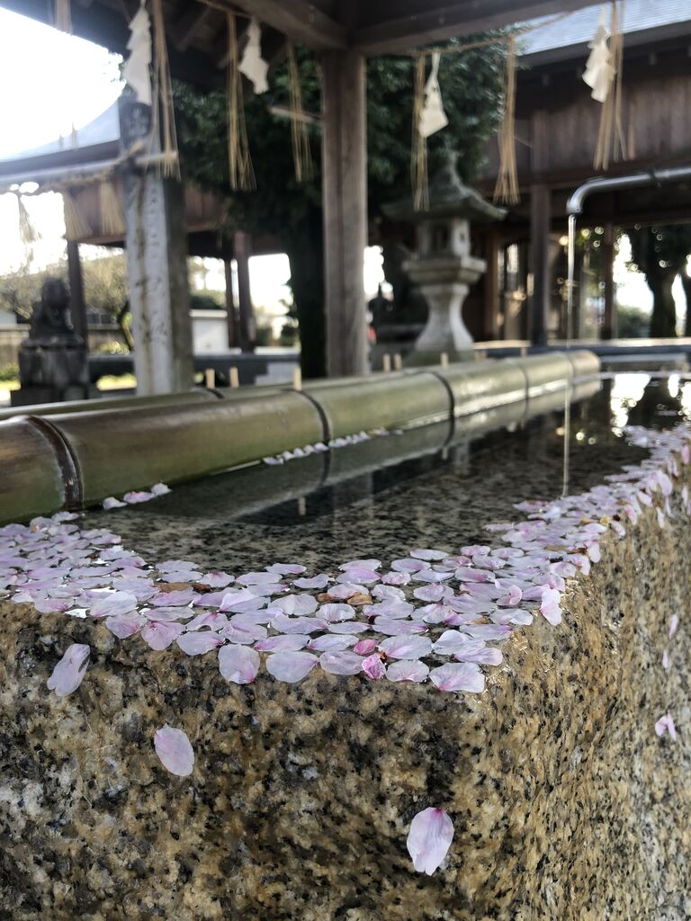 ひさかたの光のどけき春の日にしづ心なく花の散るらむ 貼りアップblog