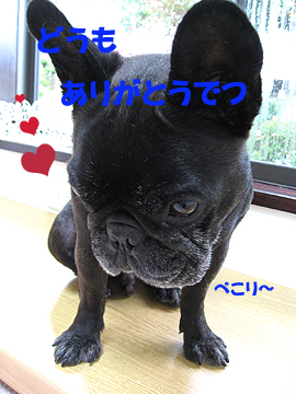 ¤¢¤ê¤¬¤È¤¦¤Ç¤Ä