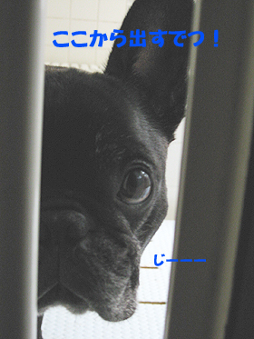 ¤³¤³¤«¤é½Ð¤¹¤Ç¤Ä¡ª