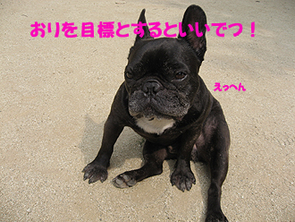 ¤ª¤ê¤òÌÜɸ¤È¤¹¤ë¤Ç¤¹¡ª