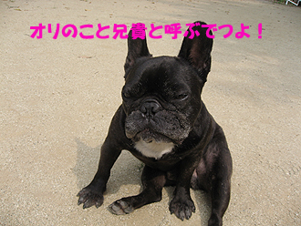 ·»µ®¤È¸Æ¤Ö¤Ç¤¹¡ª
