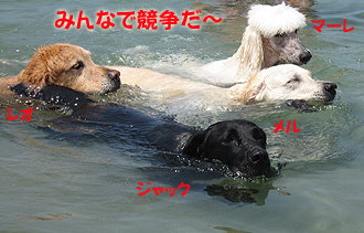 ¤ß¤ó¤Ê¤Ç¶¥Áè¤Ç¤Ä¡Á