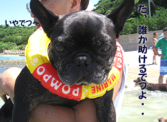 狼½õ¤±¤ë¤Ç¤Ä¤è¡¦¡¦¡¦