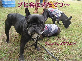 ¥Ö¥Ò²ñ¤¤¿¡ª