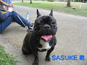 SASUKE·¯