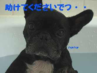 ½õ¤±¤Æ²¼¤µ¤¤¡£