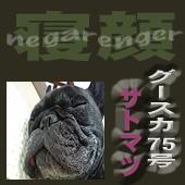 �ͥ���󥸥㡼