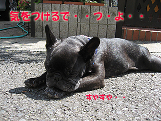 µ¤¤ò¤Ä¤±¤ë¤Ç¤Ä¡¦¡¦