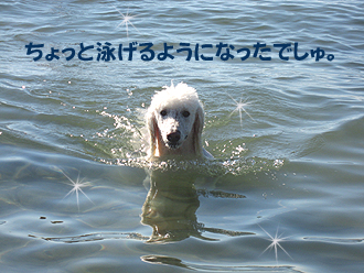 ¤Á¤ç¤Ã¤È±Ë¤²¤ë¤«¤â¡£