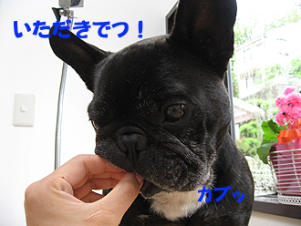 ¤¤¤¿¤À¤¤Ç¤Ä