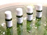 phytosun