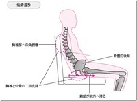 仙骨すわり