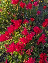 PXL_20240516_090436043