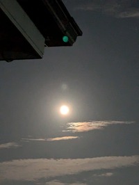 PXL_20240917_095646770