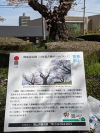 PXL_20240416_001235209