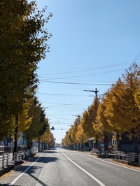 PXL_20241203_040012625