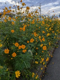 PXL_20240922_081148914