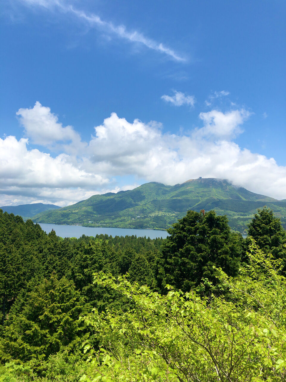 四季倶楽部ヴィラ箱根80 四季倶楽部の鍋初体験 1泊2食5 800円 珍安温泉ホテル 四季倶楽部ヴィラ箱根80 四季倶楽部の鍋初体験 1泊2食5 800円 珍安温泉ホテル