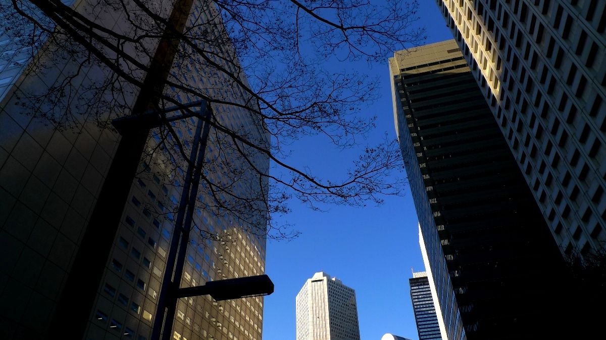 都会の冬の空 森への想い 都会の冬の空 森への想い