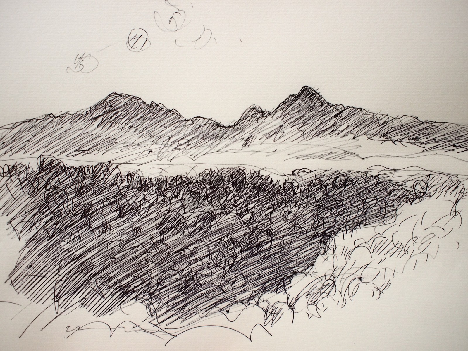 八ヶ岳 ペン画 : 森への想い