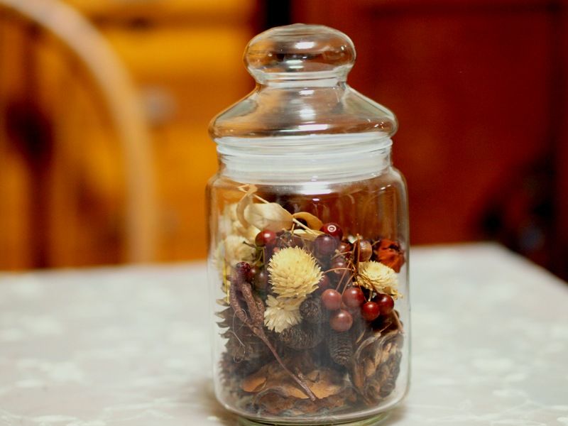 瓶の中の木の実 森への想い