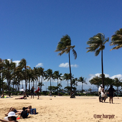 Hawaii Hilton lagoon 6