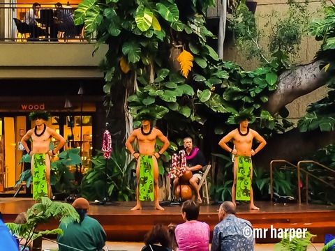 5ハワイ ワイキキ フラダンス