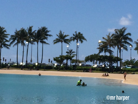 Hawaii Hilton lagoon 2