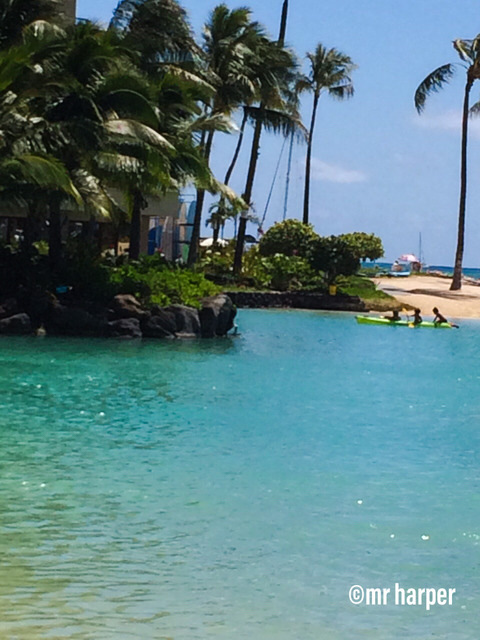 Hawaii Hilton lagoon 4