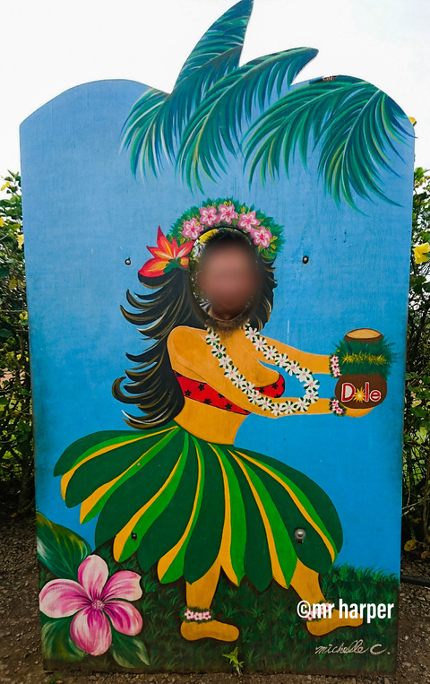 Hawaii-DOLE99