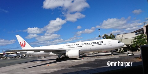 ホノルル国際空港 JAL