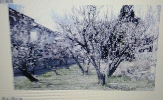 2016-3-12-ÇßÄÅ¤ØÆ»ÇßÎÓ