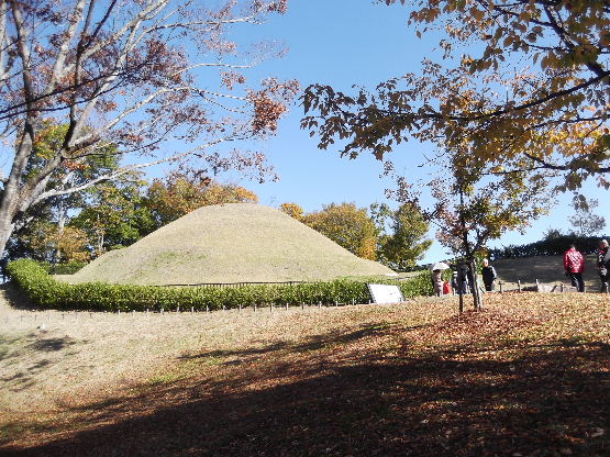 2013-11-23-¤Þ¤Û¤í¤Ð-¹â¾¾Ä͸Åʯ