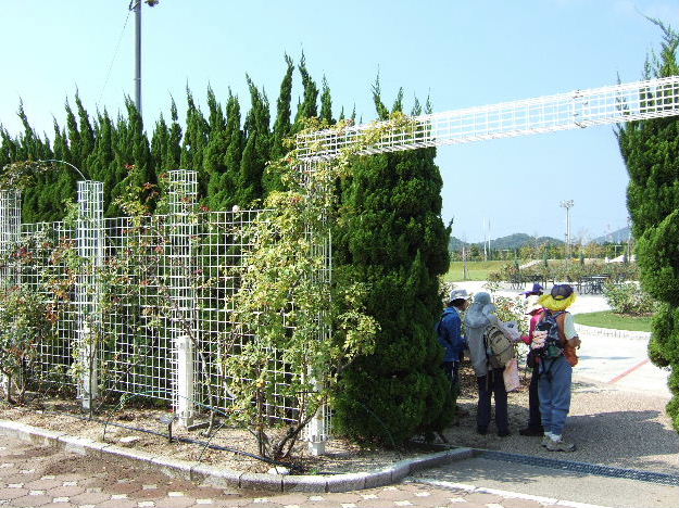 2007_0930¤·¤Þ¤Ê¤ß³¤Æ»¥¦¥ª¡¼¥¯0007