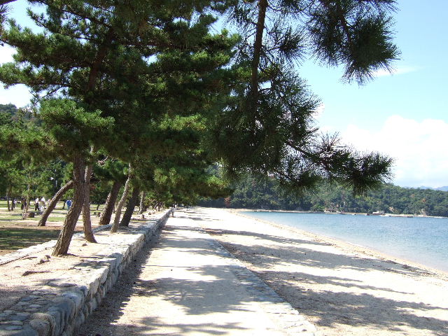 2008_0921µÜÅ硦¤Ò¤í¤·¤Þ¥Ä¡¼¥Ç¡¼¥¦¥ª¡¼¥¯0024
