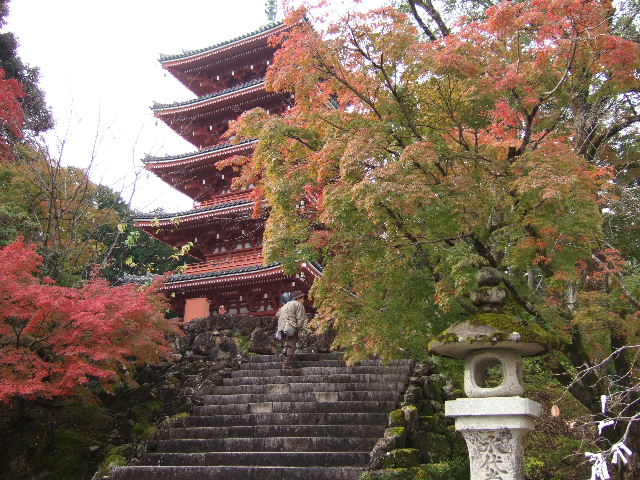 2010_1114龍馬0042