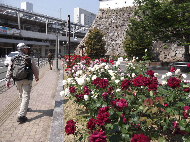 DSCF7574