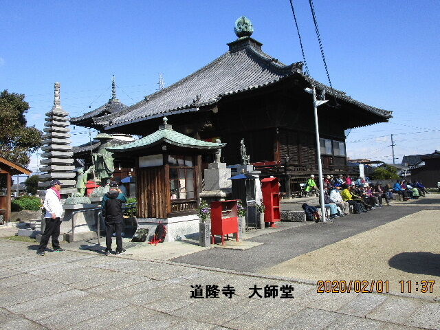 IMG_1556zi