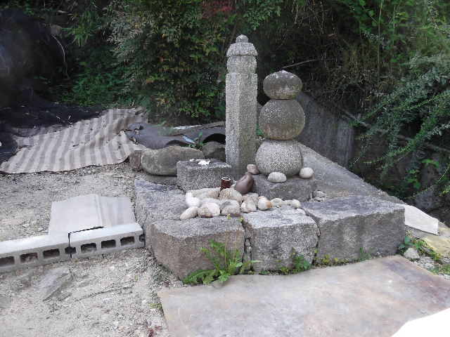 DSCF7635